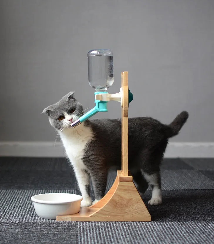 Cat drinking water dispenser with bamboo wood holder and 300ml water container in grey, green, and pink