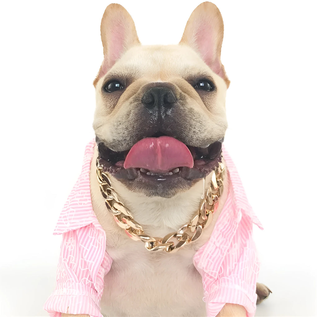 A gold chain-link style dog collar ornament on a white background.