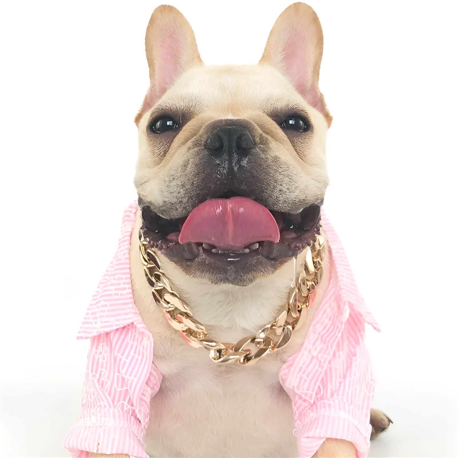 A gold chain-link style dog collar ornament on a white background.