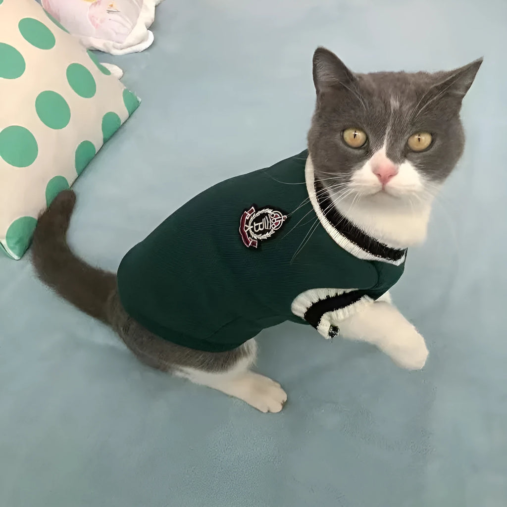Silver gradual layer college style winter cat clothes in blue duck colour for British Shorthair cats