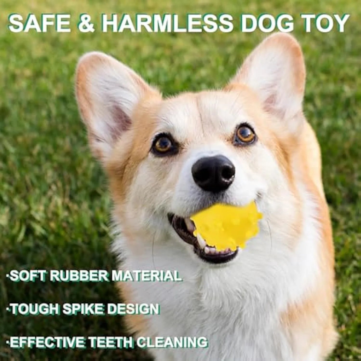 Colourful 2-inch spike dog ball with squeaker for small breed puppies