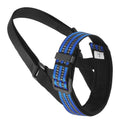 Adjustable reflective dog muzzle in blue shown on a large breed dog, with straps fastened.