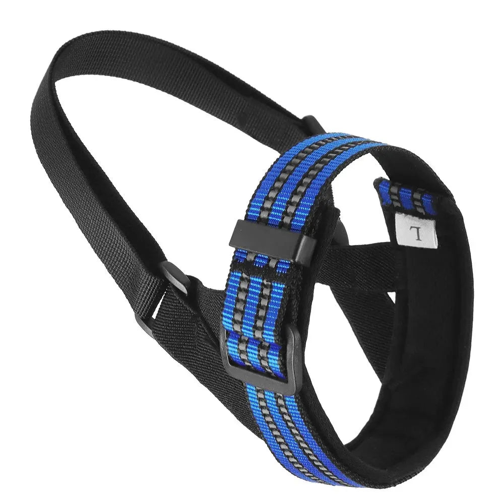 Adjustable reflective dog muzzle in blue shown on a large breed dog, with straps fastened.