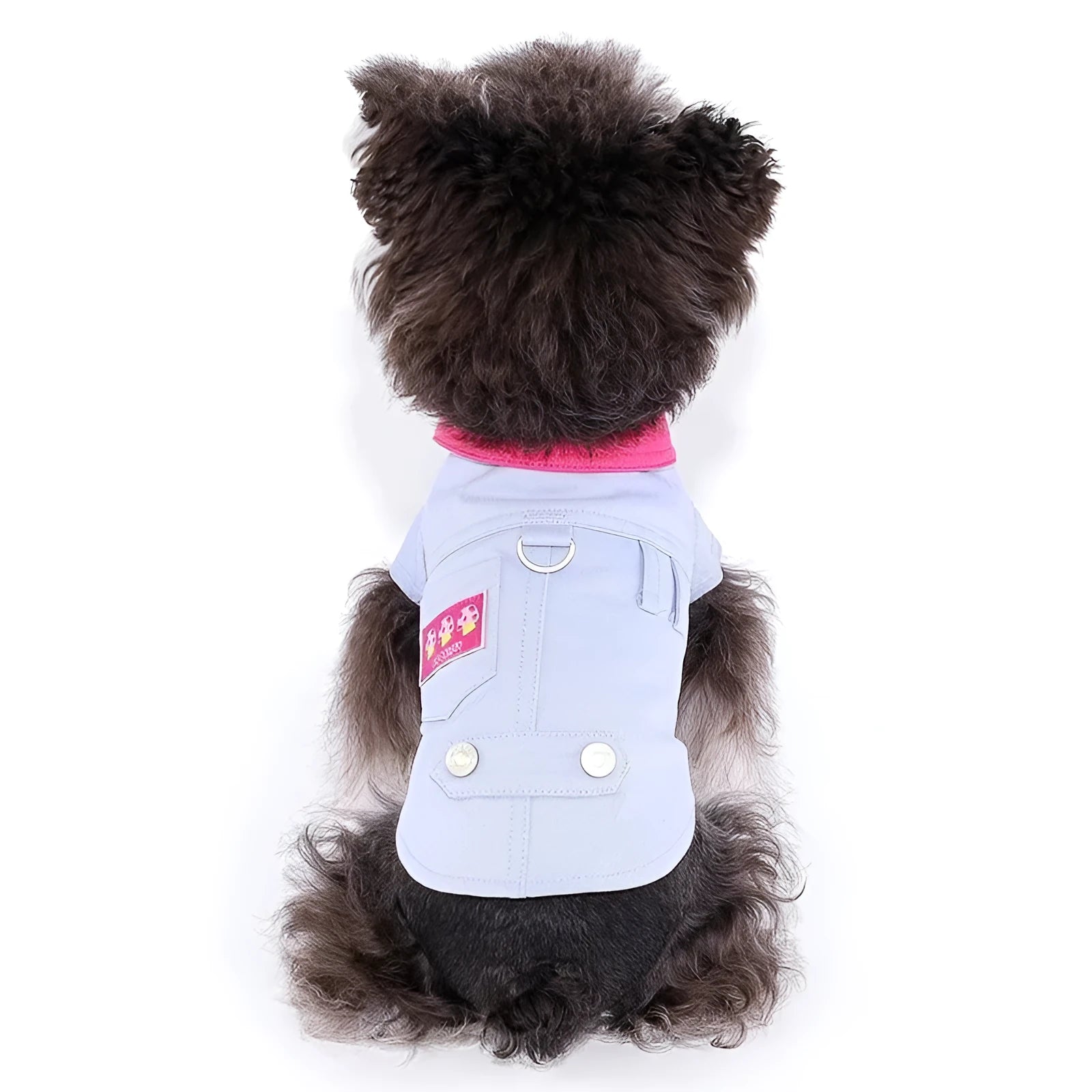 Blue and purple lightweight polyester dog vest with traction rope ring for small breeds summer wear