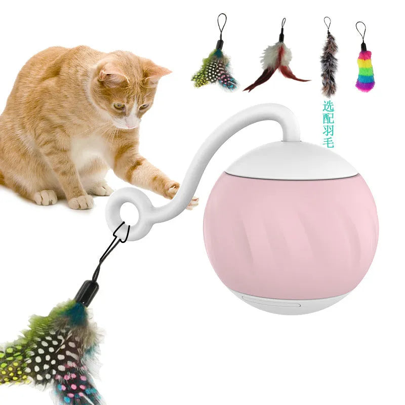 Electric cat toy ball with LED lights in watermelon green and pumpkin orange colours