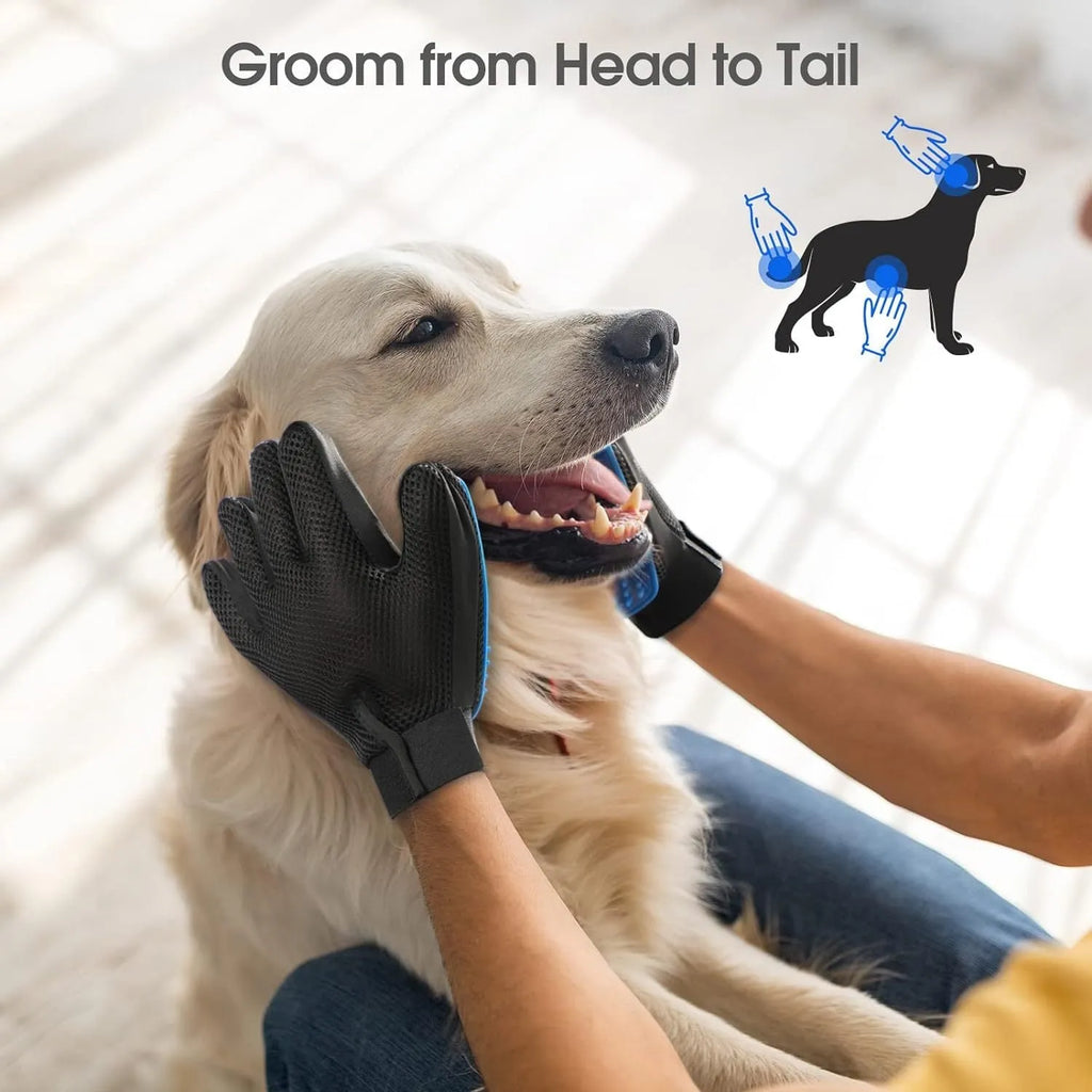 Blue silicone pet grooming glove with 255 fingertips for removing hair from dogs and cats.