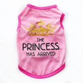 A casual cotton vest for a puppy, shown in a choice of colours including black, grey, blue, and pink.