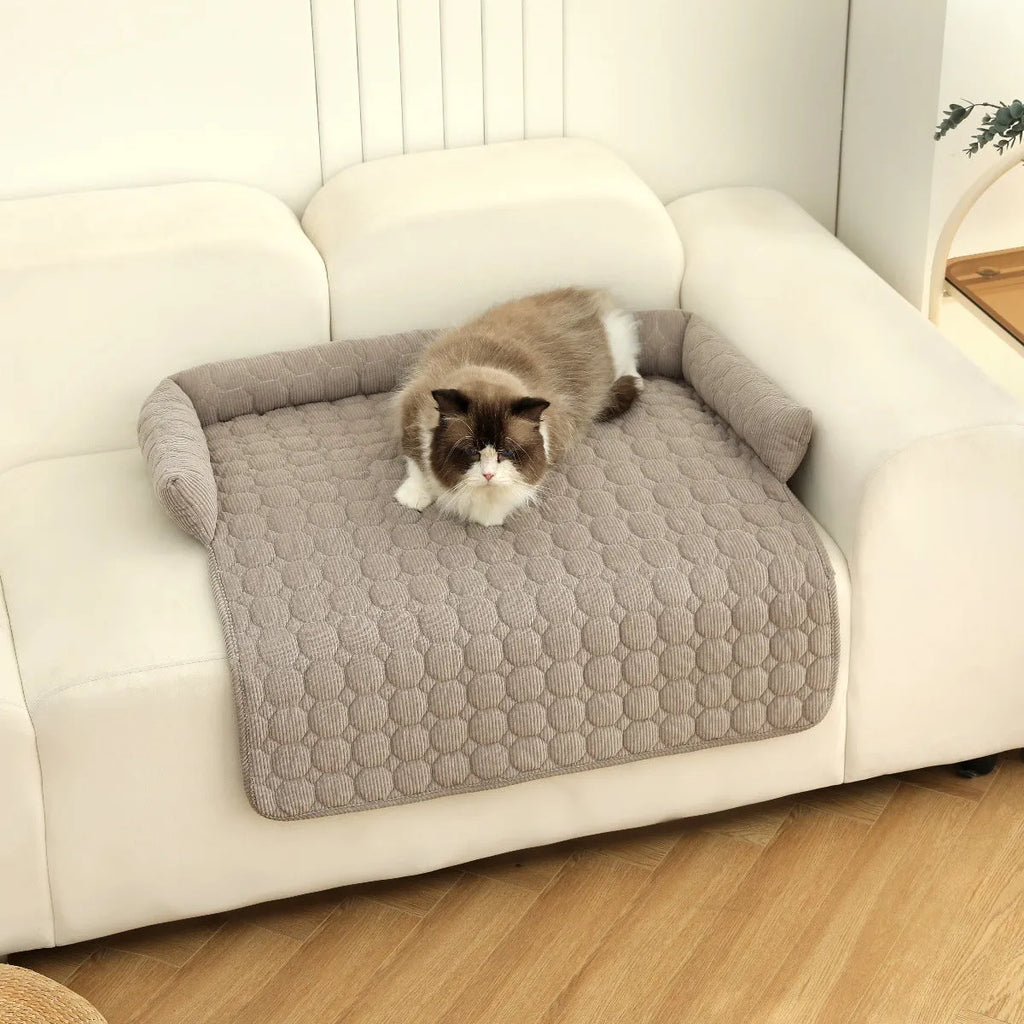 Corduroy pet dog cat bed blanket mat with neck pillow thick soft pad in beige color on a sofa