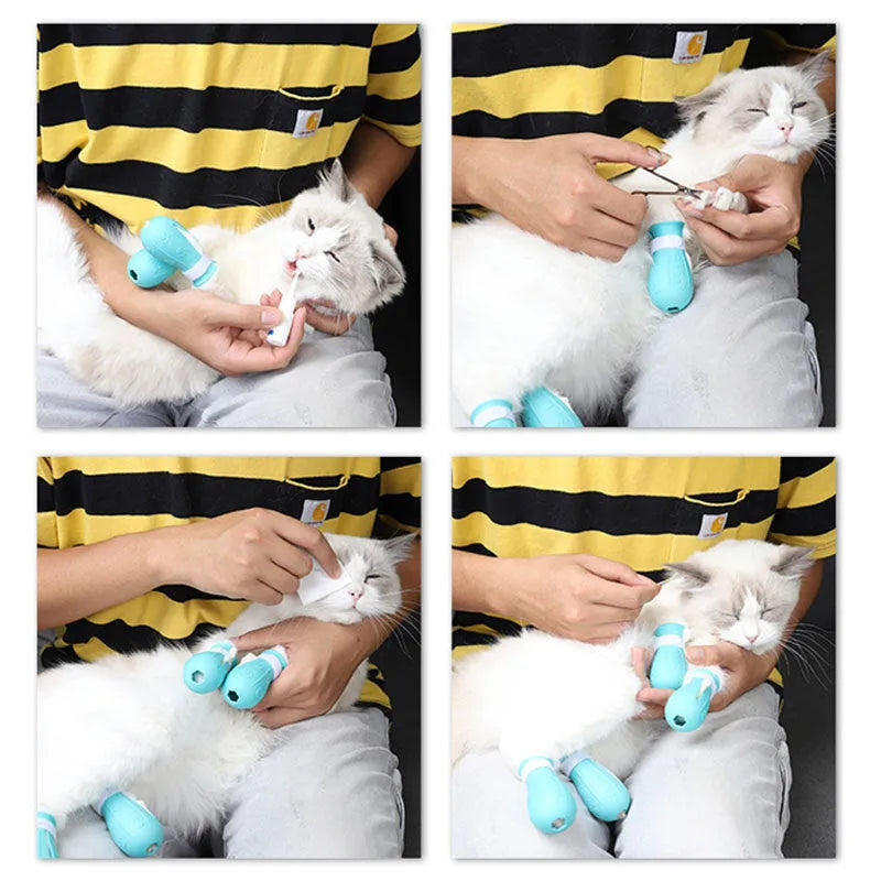 Set of four adjustable cat foot claw covers in light blue, light green, and pink, made from TPE with drainage holes and Velcro straps.