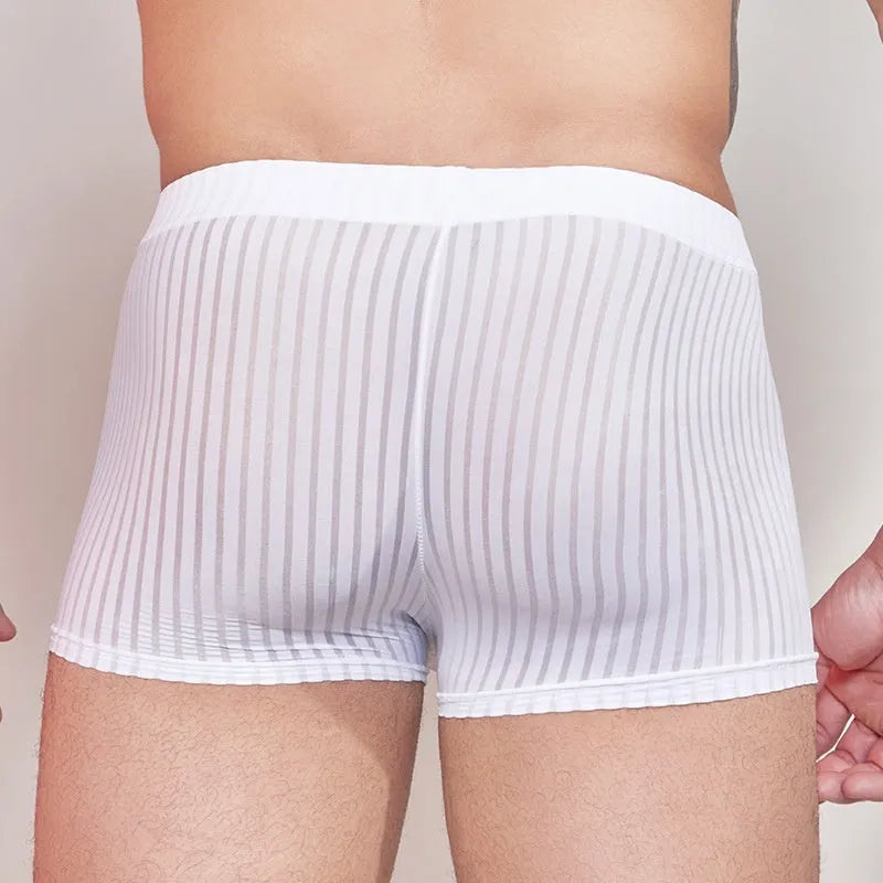 Men's striped nylon underwear with thin transparent fabric and elastic waistband in black, dark grey and white colours