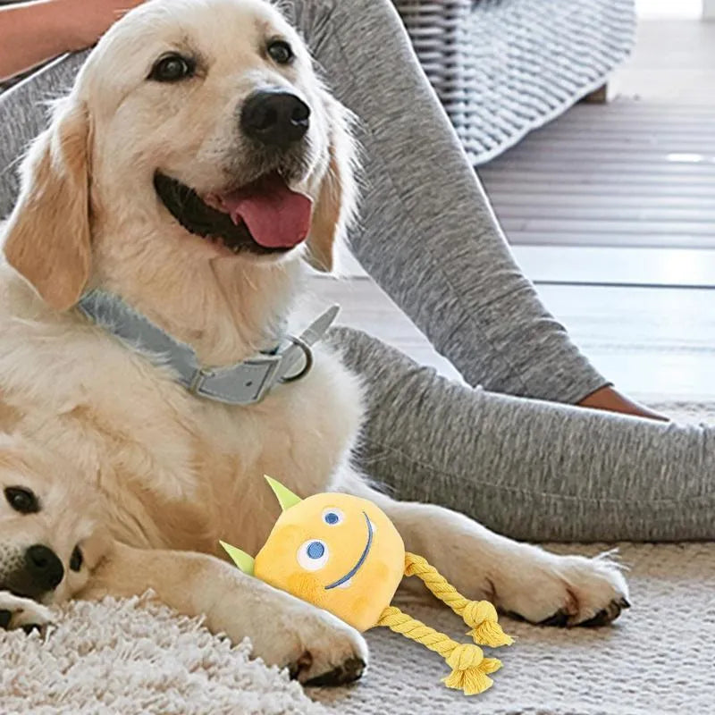 Blue and yellow dog squeaky toy with strong knot design cotton rope construction