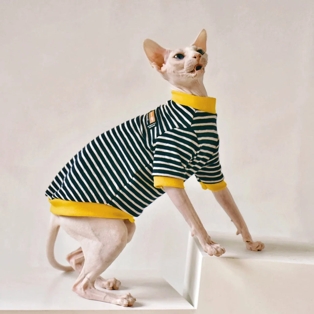 Black cotton top for Sphinx hairless cat in Europe America style, sizes XS-XXL