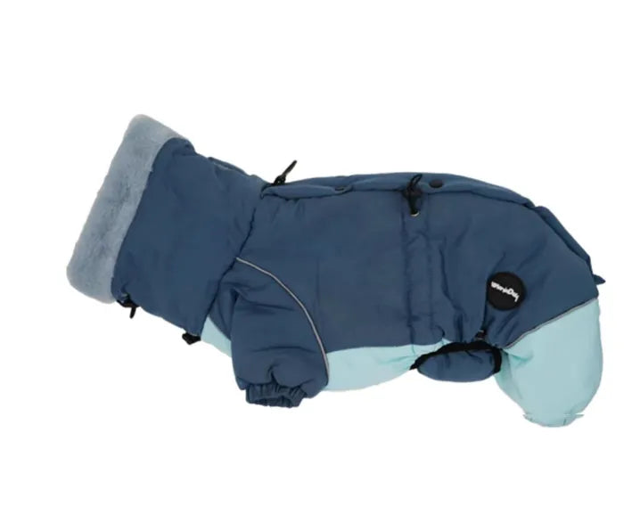 Dachshund in a Navy Blue thick cotton-padded four-leg jacket for autumn and winter, lambswool fabric
