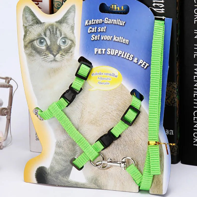 Cat traction pet belt with adjustable 1.2m lead in black, blue, green, pink, red colours