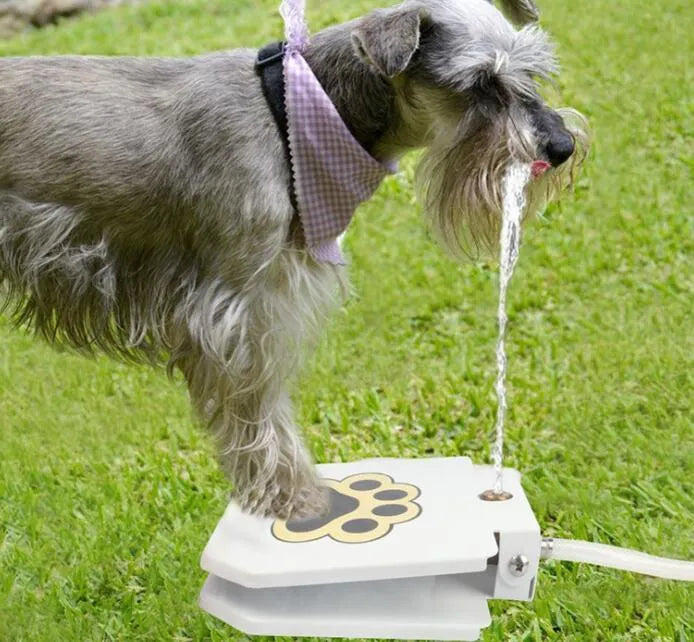 Outdoor dog water fountain in heavy-gauge steel with paw-pad and hose