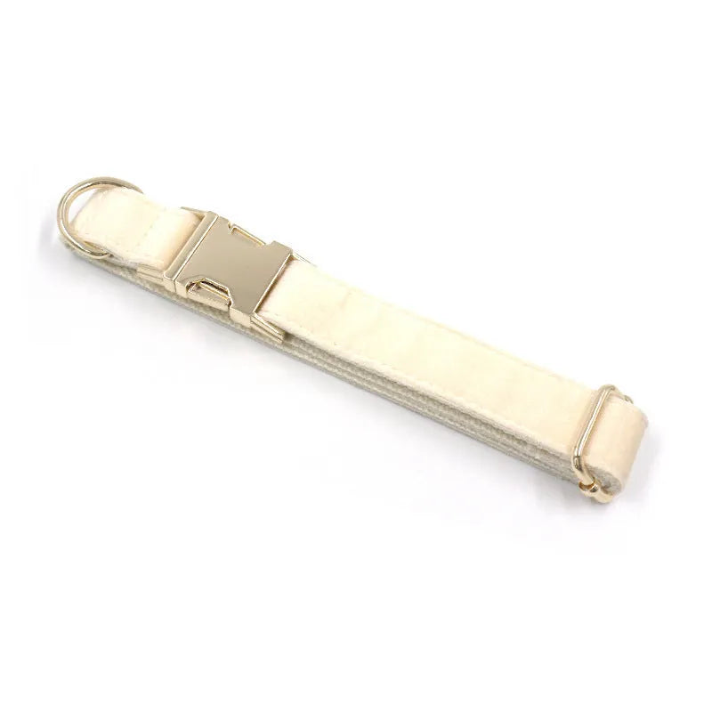 Cream velvet dog collar with gold buckle, matching bow tie, and leash set on a white background