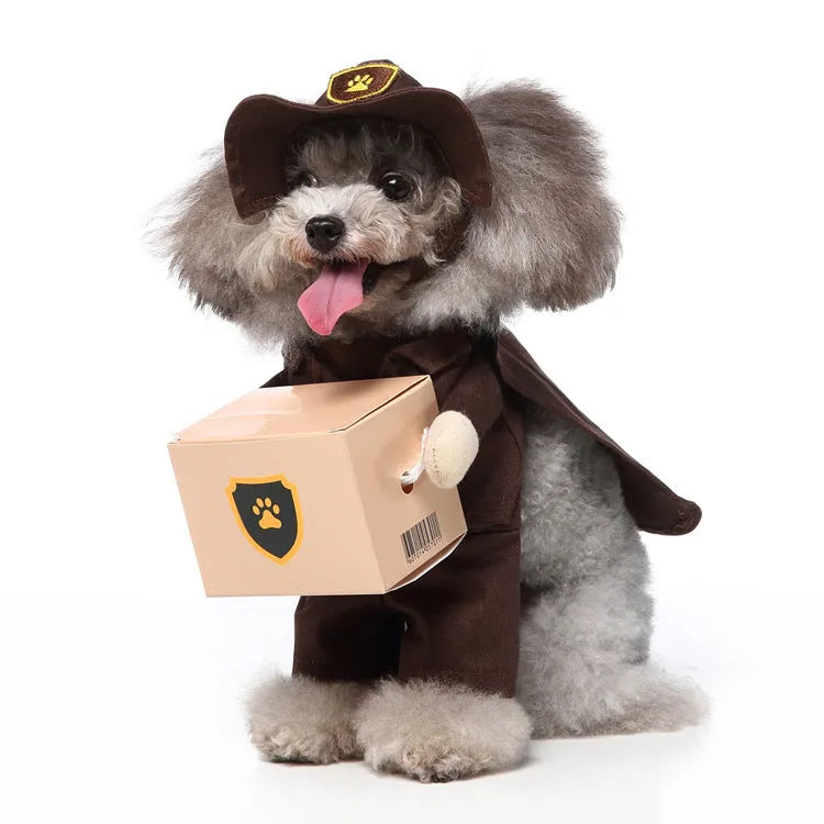 European and American style polyester pet costume in raccoon colour on a small dog