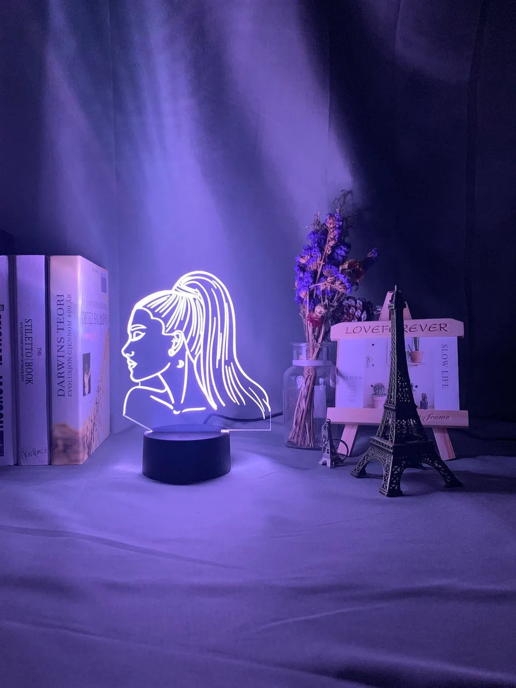 Slim 3D acrylic night light panel with LED illumination in European style