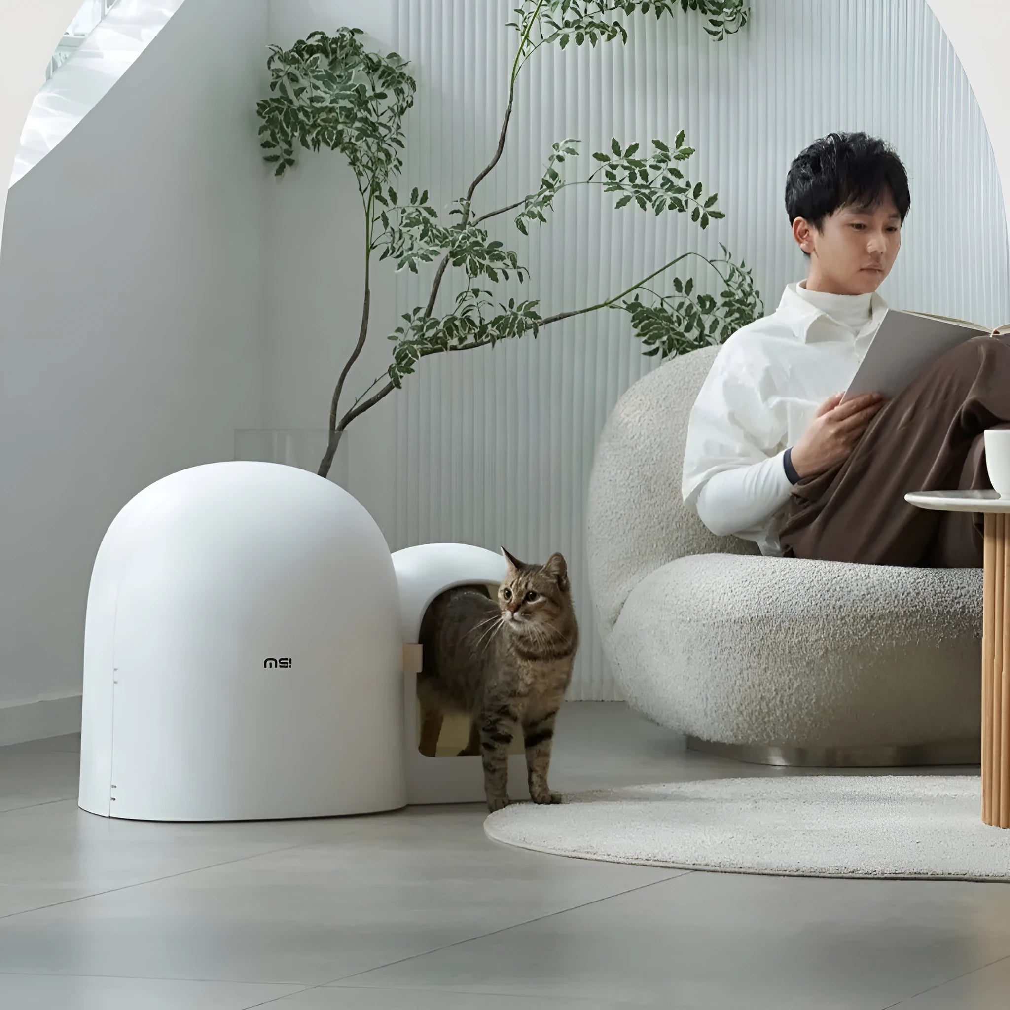 Fully enclosed oversized cat litter box for large cats in Aurora White colour