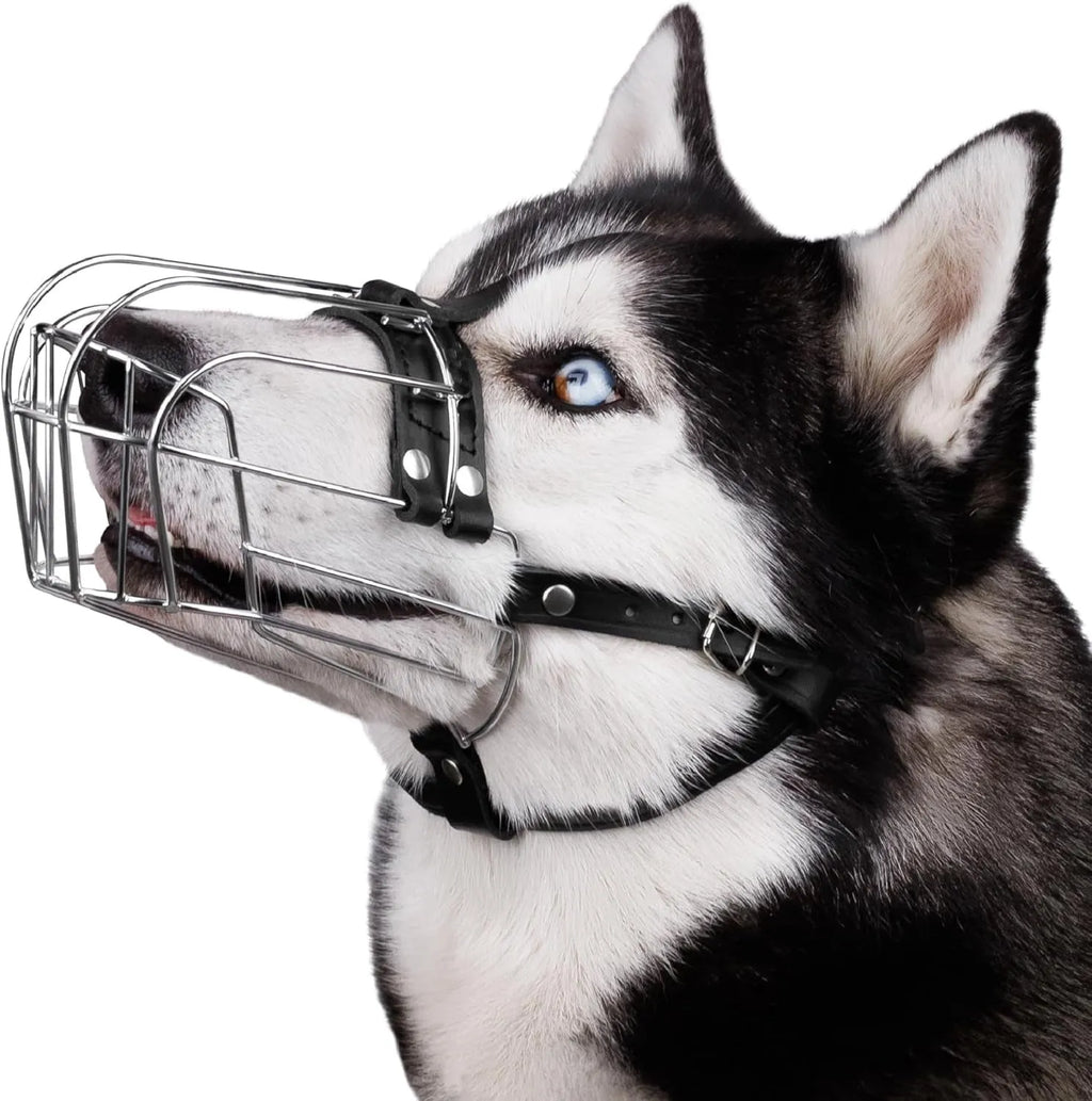 Black metal basket dog muzzle designed for Golden Retrievers and German Shepherds.