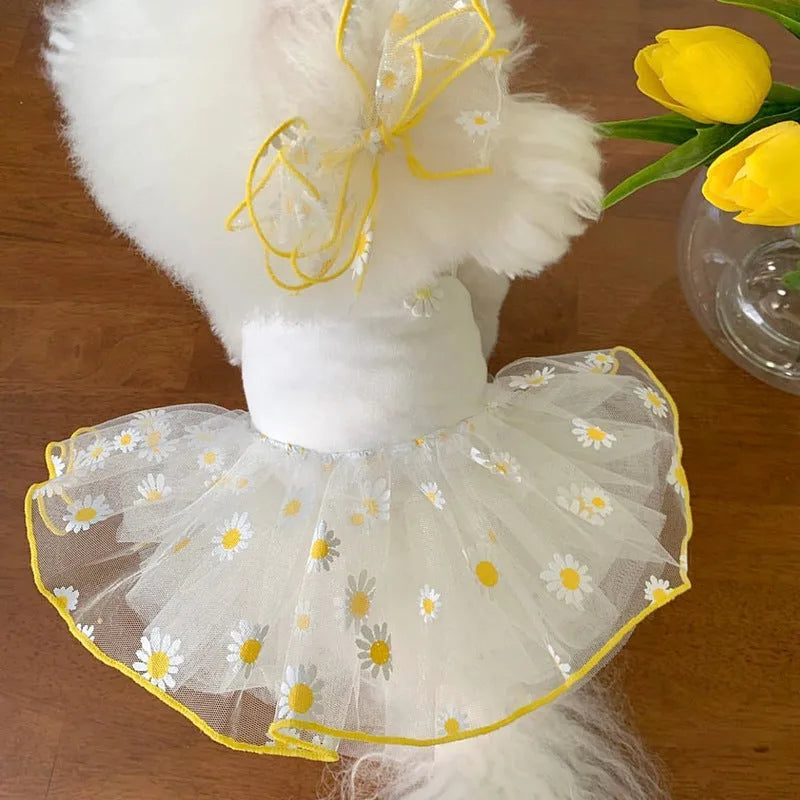 Yellow daisy print summer dog clothes for small to large breeds on pet mannequin