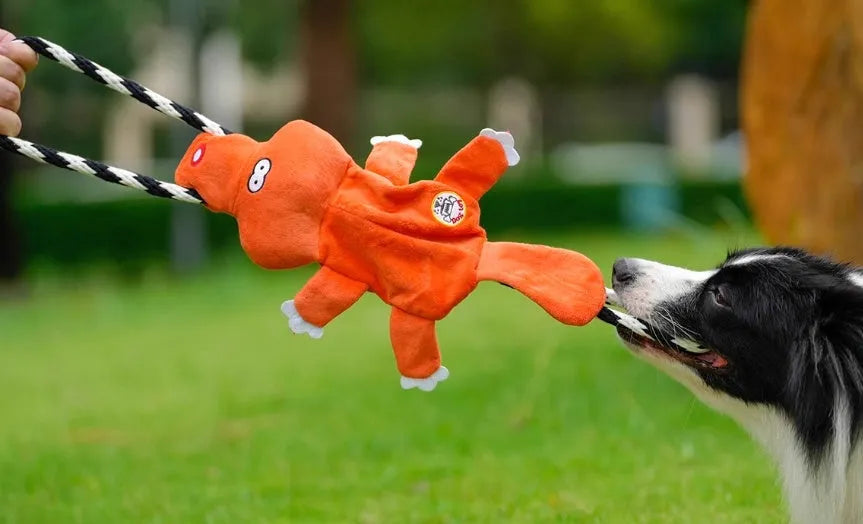 Two cotton string molar sound dog toys in suit colour on a surface
