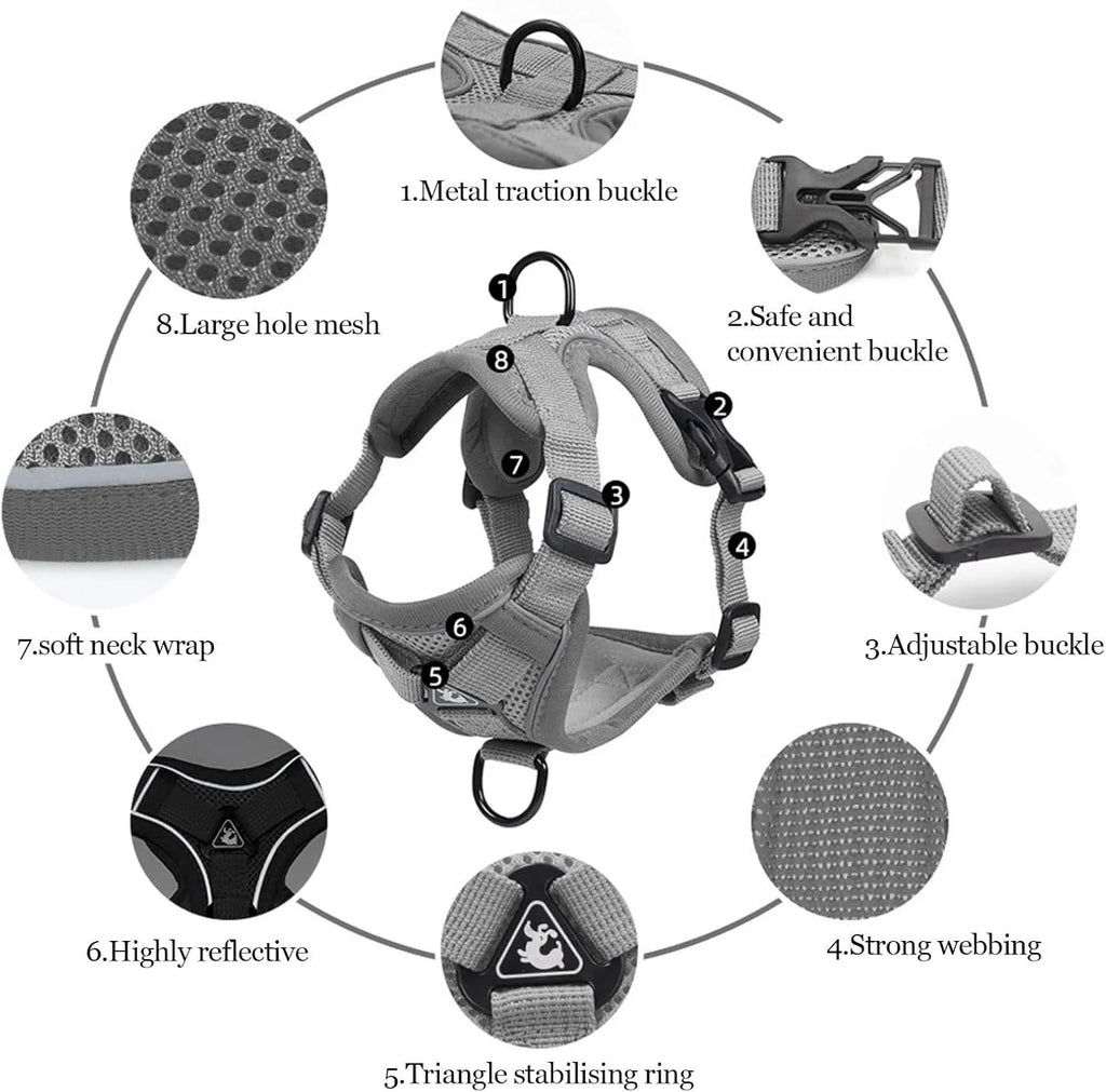 Adjustable soft mesh cat harness and leash set with reflective strips shown in blue, coffee, and grey colours.