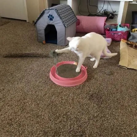 Blue interactive cat scratcher toy with ball track and replaceable cardboard scratching surface