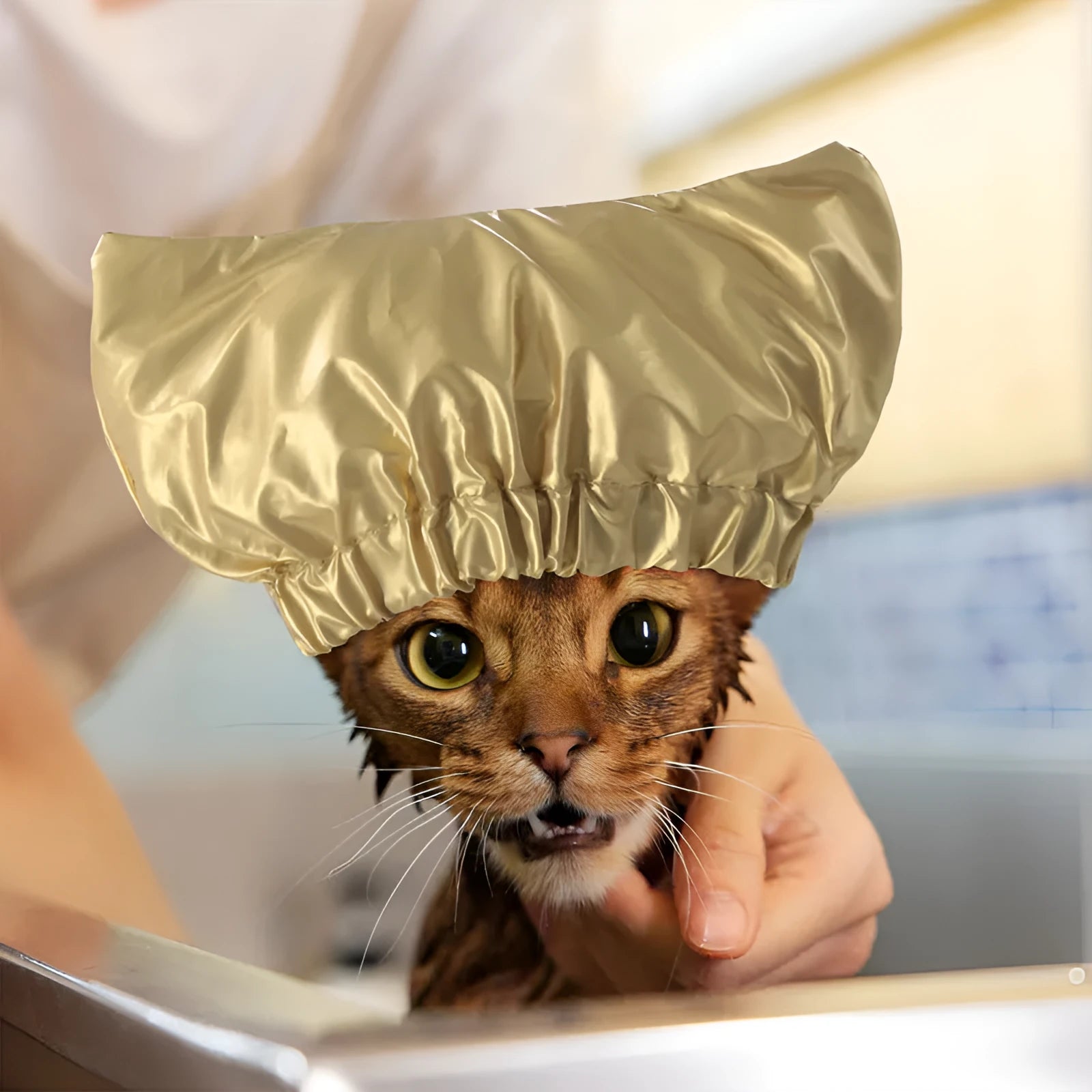 Adjustable pet shower cap in silver, pink, or gold for dog and cat bath protection
