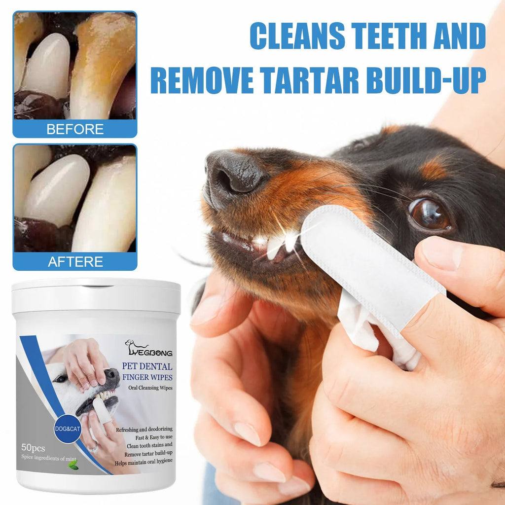Can of 50 disposable pet teeth cleaning finger stall wipes for dog dental care
