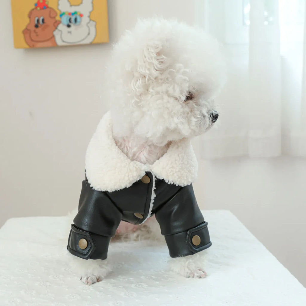 Fleece lined padded dog coat in three colours with size measurement chart