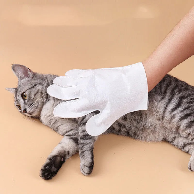 Disposable pet cleaning glove with gentle formula for cats and dogs, individually wrapped