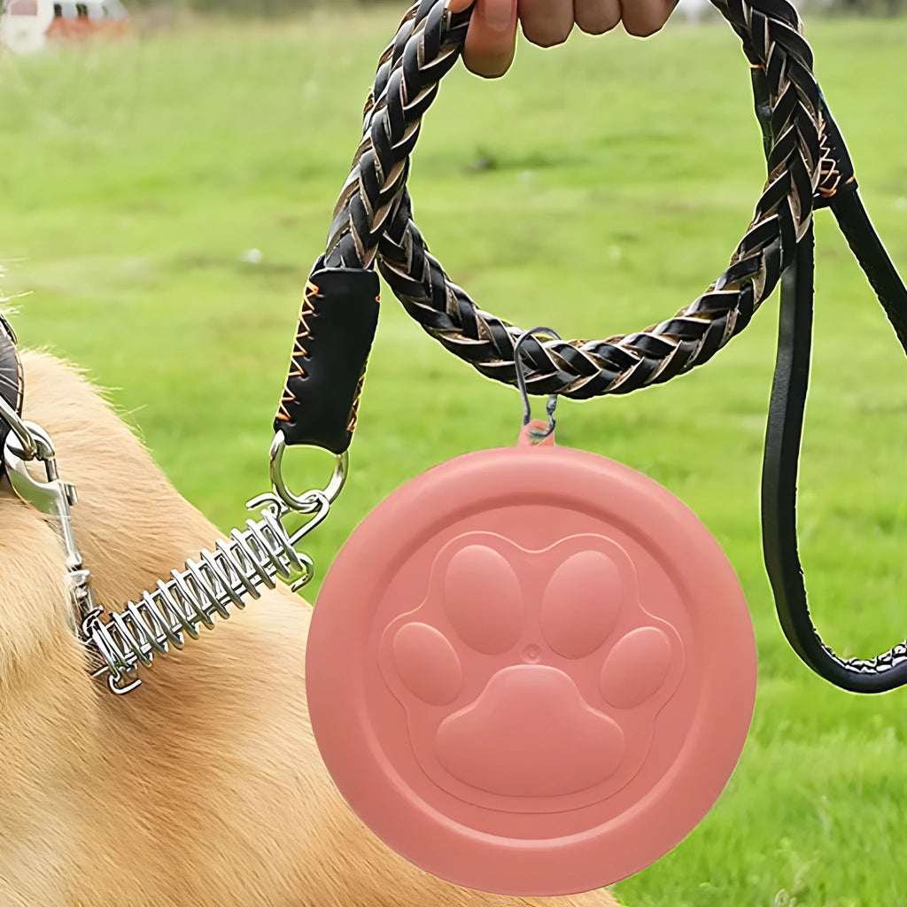 Collapsible silicone dog feeding bowl with lid shown in a green colour.