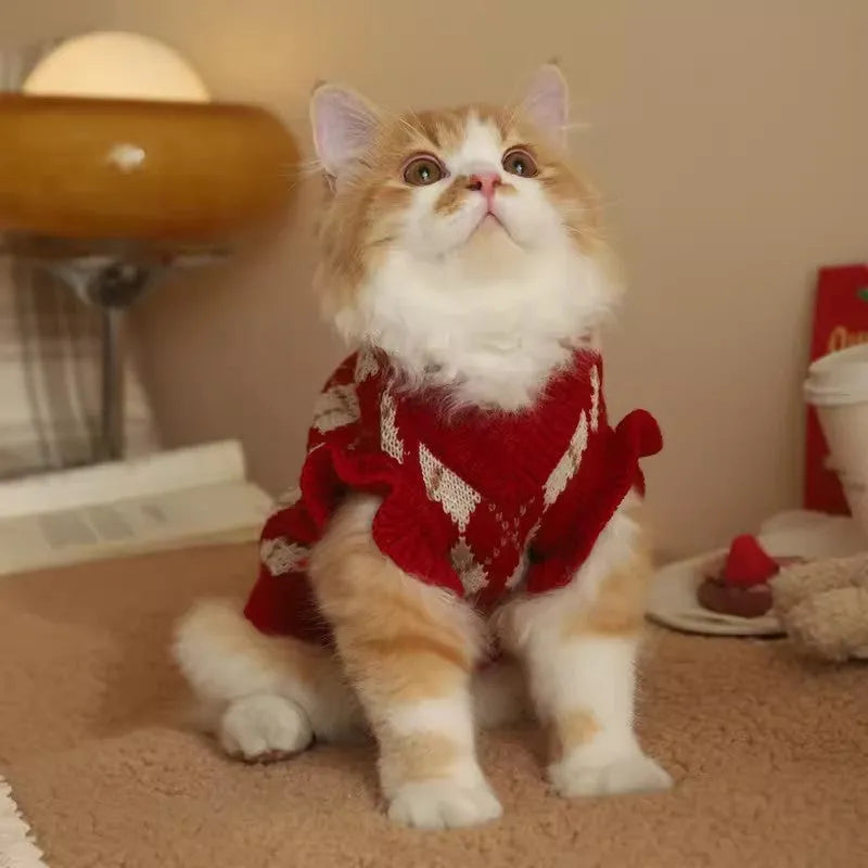 Red cat sweater with rhombus and cherry embroidery, shown in size L on a mannequin.