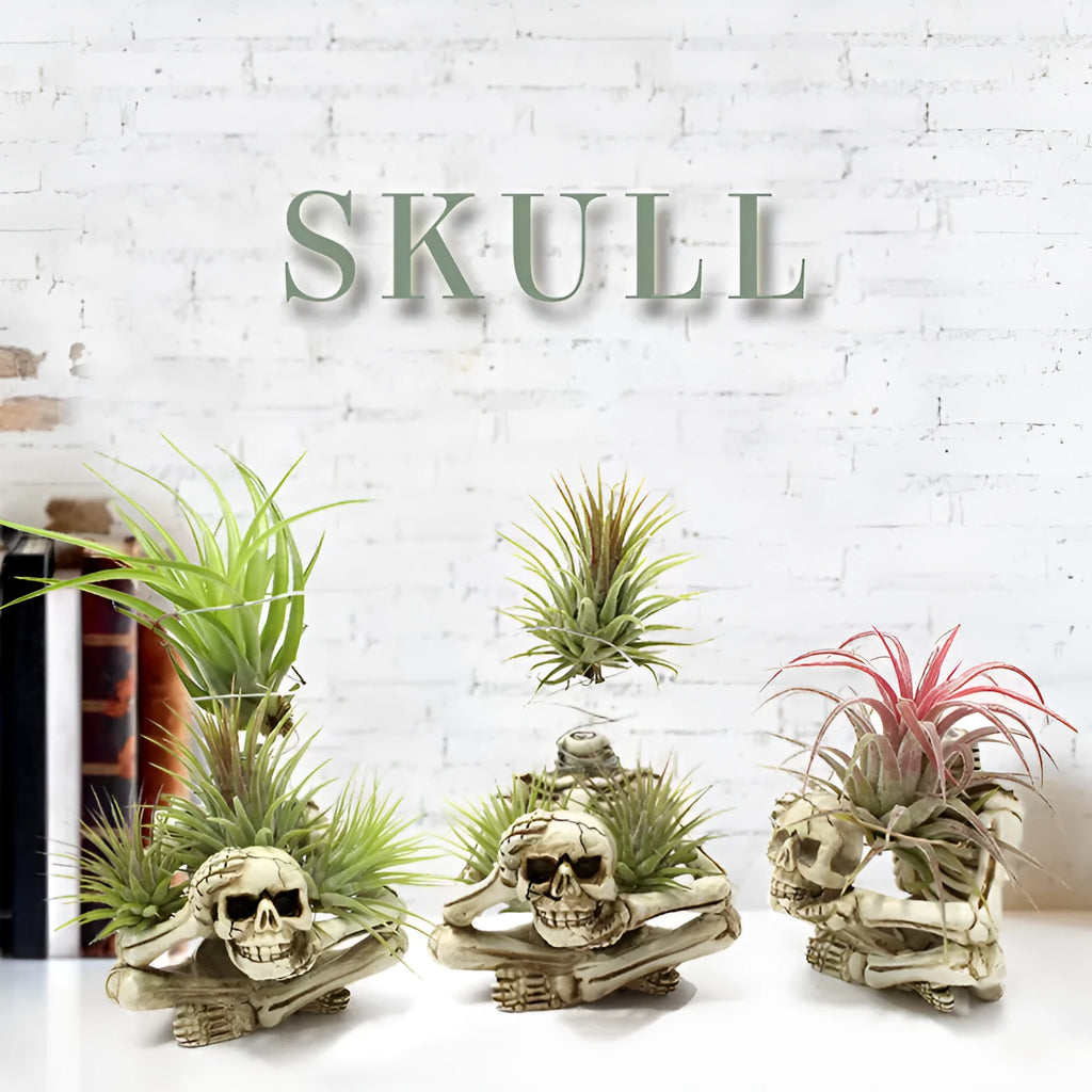 Gothic skull design resin Tillandsia bracket holding an air plant, showing its 12.5cm height.