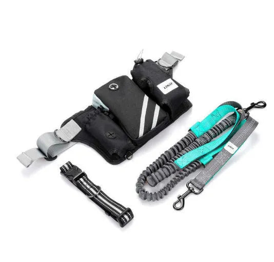 Black nylon outdoor dog walking set showing a waist bag, attached leash, and matching dog collar.