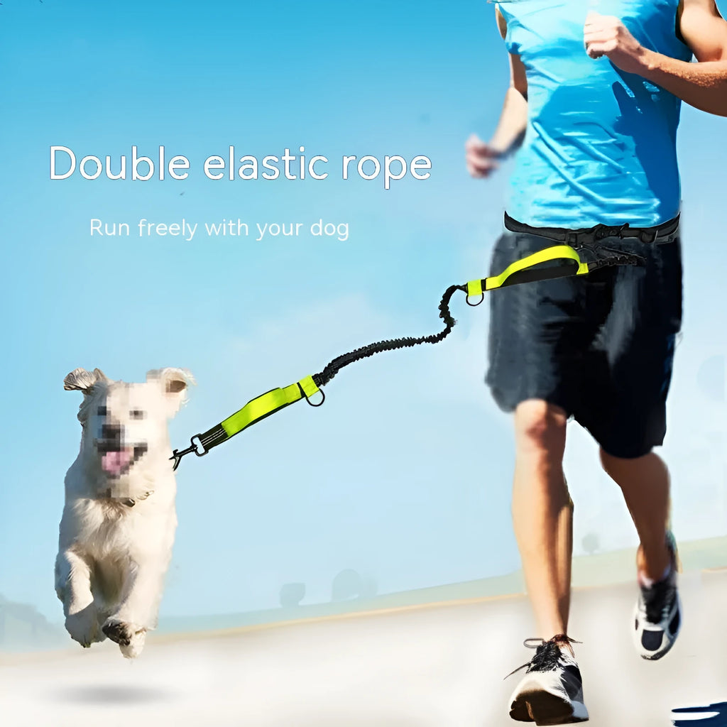 Adjustable pet running belt with extendable leash in fluorescent green, orange, or sapphire blue
