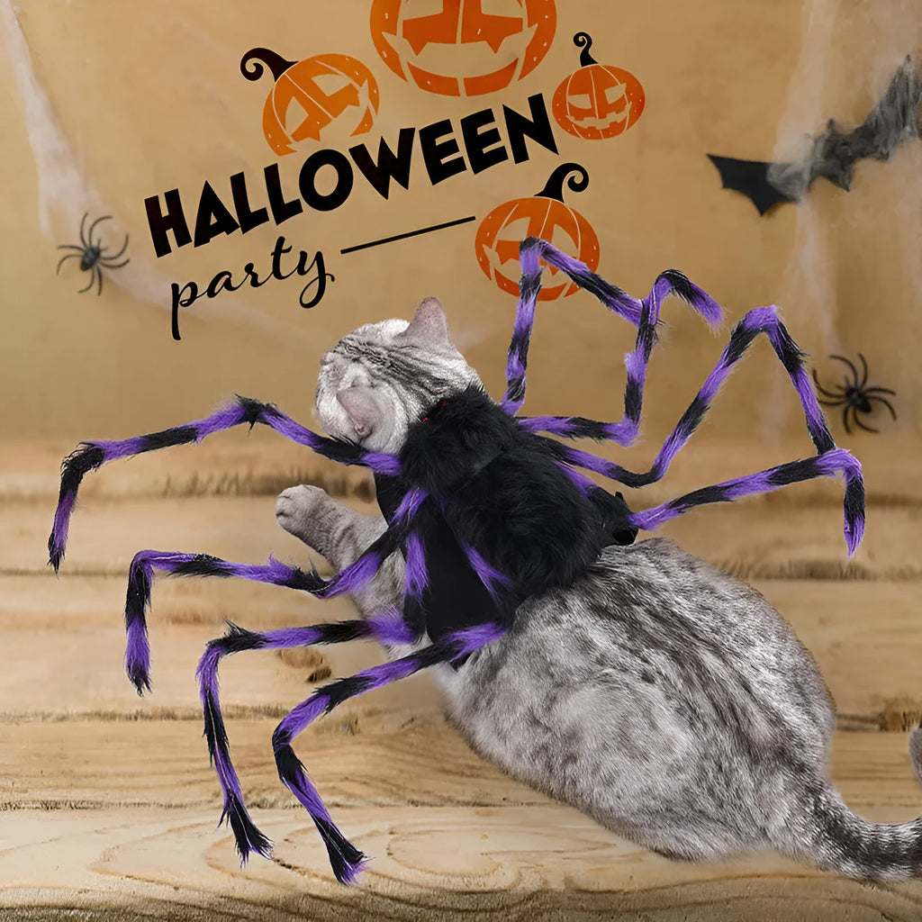 Grey polyester pet costume with a large black spider design for Halloween, shown on a dog.