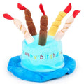 Blue pointed birthday hat for a small dog on a neutral background