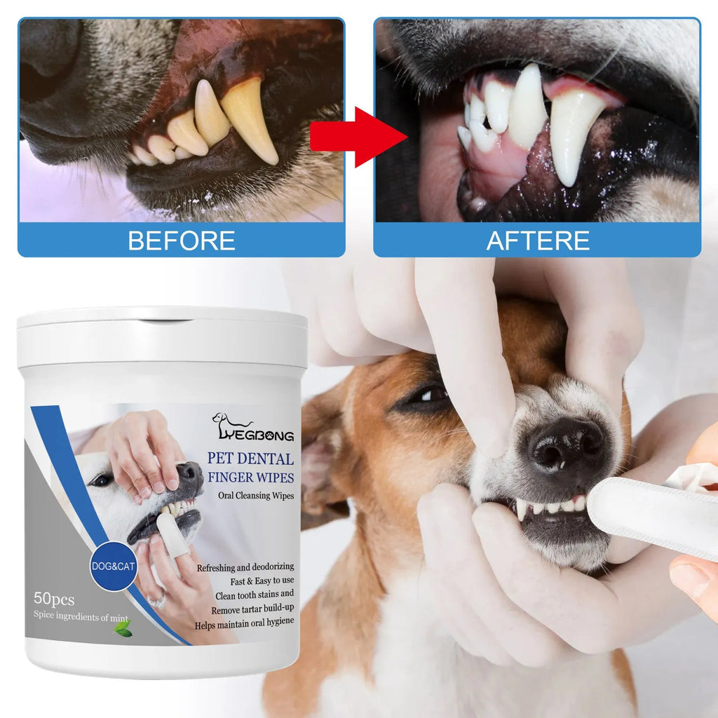 Can of 50 disposable pet teeth cleaning finger stall wipes for dog dental care