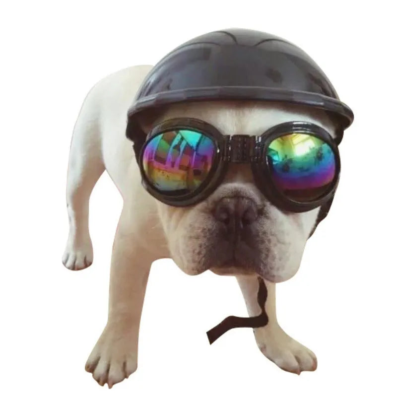 Japanese-style plastic dog motorcycle cap helmet in various colours and sizes for small dogs