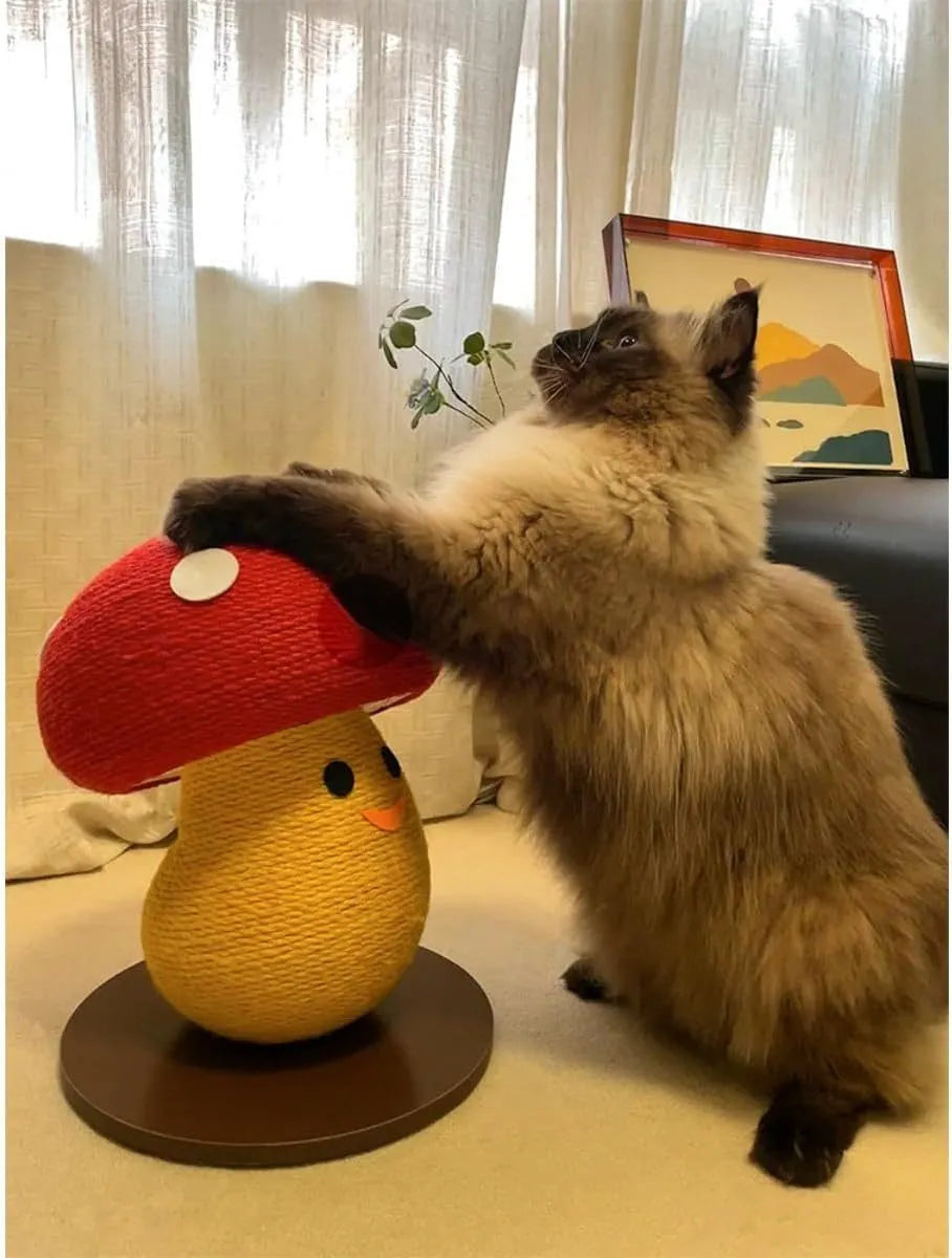 Foldable round cardboard cat scratcher lounge with accordion design on a carpet.