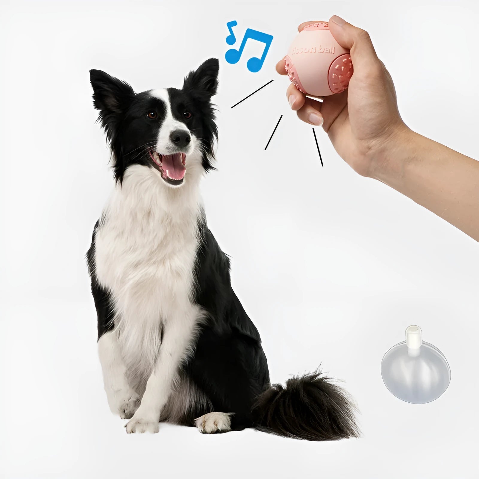 Green and pink durable plastic rolling ball dog toy with 64mm diameter for small and medium dogs