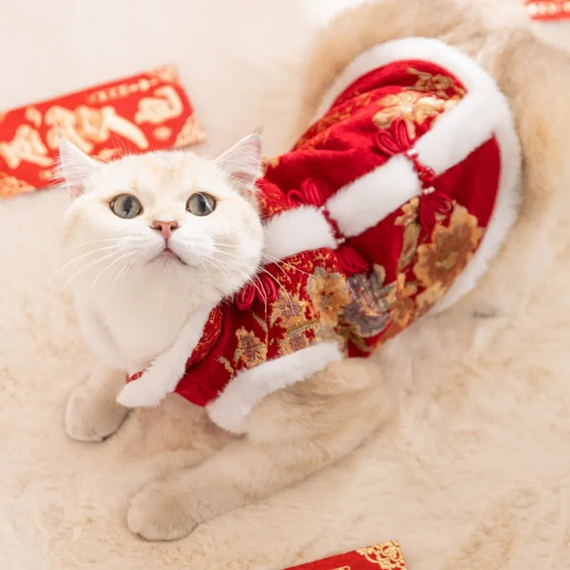 Pet Chinese New Year Tang suit coat with frog knot closure, brocade fabric, and fluffy fur trim on a small dog
