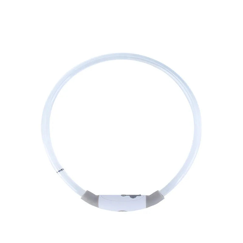 Blue USB-rechargeable LED dog collar glowing on a dog's neck at night.