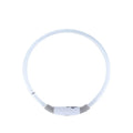 Blue USB-rechargeable LED dog collar glowing on a dog's neck at night.