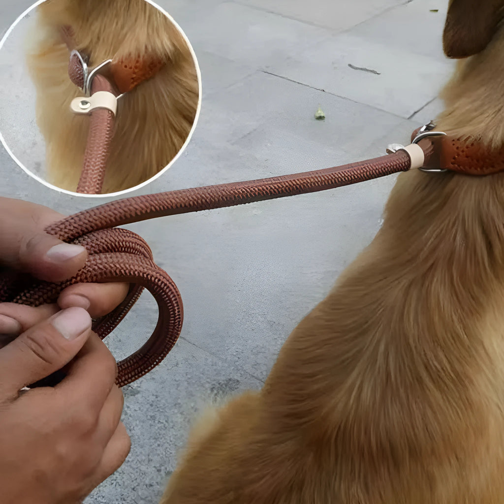 Brown nylon P chain dog leash with hand holding rope section, 2.1 metres long