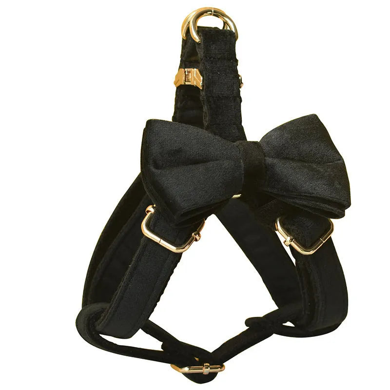 Black flannel dog harness with gold buckle on a light background, showing chest strap and leash