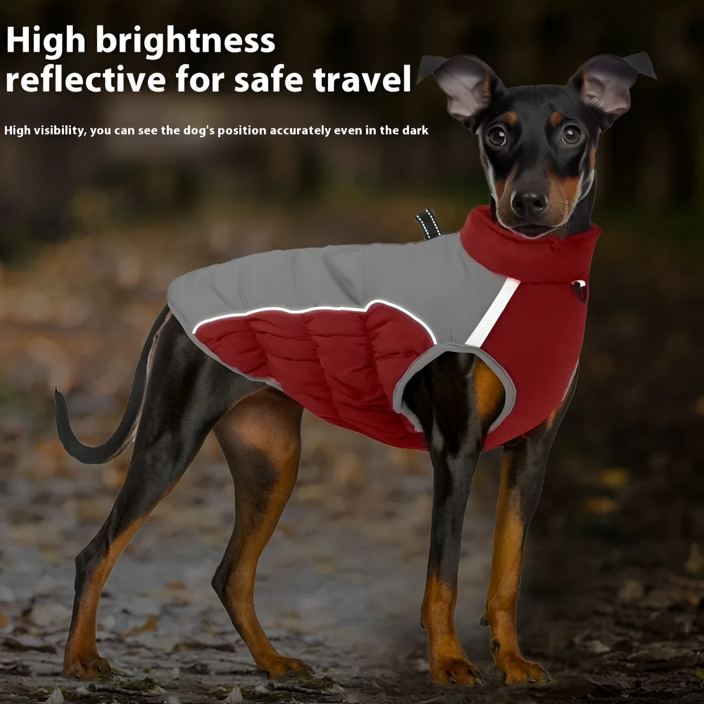 Windproof cotton dog coat for medium and large dogs in black, blue, red, and navy, sizes XL to 6XL
