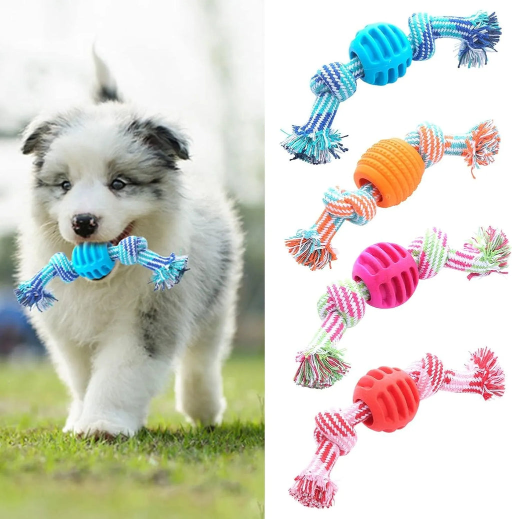 Blue dog chew toy with a textured molar shape and integrated knotted ropes on a white background.